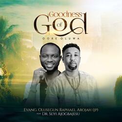 Goodness of God (feat. Dr SEYI Ajogbajesu)