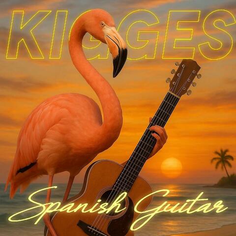 spanish guitar