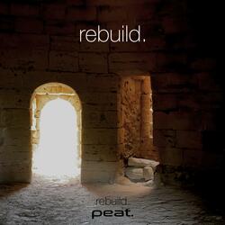 rebuild.