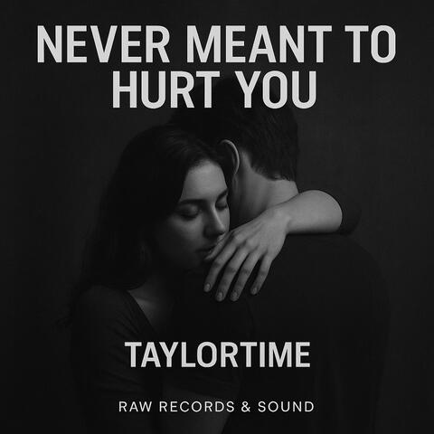 Never Meant to Hurt You