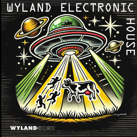Wyland Electronic House
