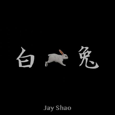 白兔