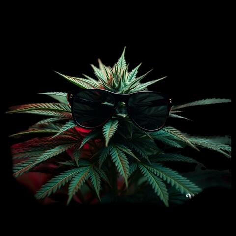 "BUSSIT DOWN" Rap-Trap | Flint X Detroit | Freestyle Type Beat 2025