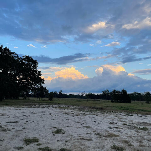 East Texas Jam/Little Wing (Live)