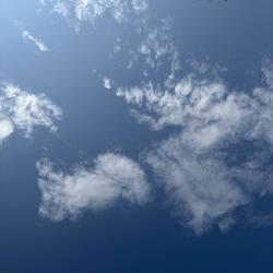 Cirrus