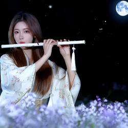 Tiêu Thanh Dạ Khúc - Nhạc Hoa Không Lời Tuyển Chọn (Relaxing Chinese Instrumental Music)