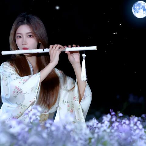 Tiêu Thanh Dạ Khúc - Nhạc Hoa Không Lời Tuyển Chọn (Relaxing Chinese Instrumental Music)
