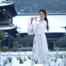 Tuyết Tự Hư Vô - Nhạc Hoa Không Lời Tuyển Chọn (Relaxing Chinese Instrumental Music)