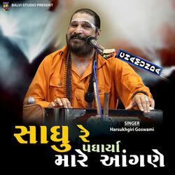Sadhu Re Padhariya Mare Aangne (feat. Harsukhgiri Goswami)