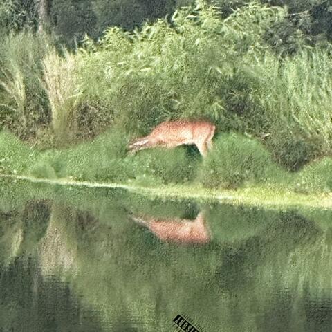 Sabby 2 (2 U From Me)