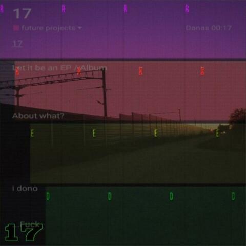 17