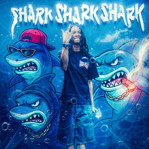 SHARK SHARK !!