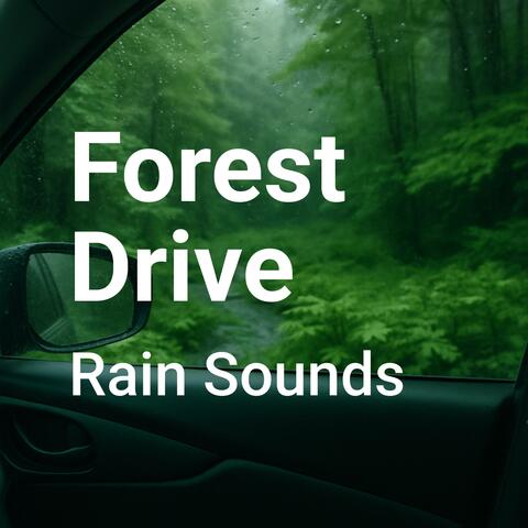 Forest Drive