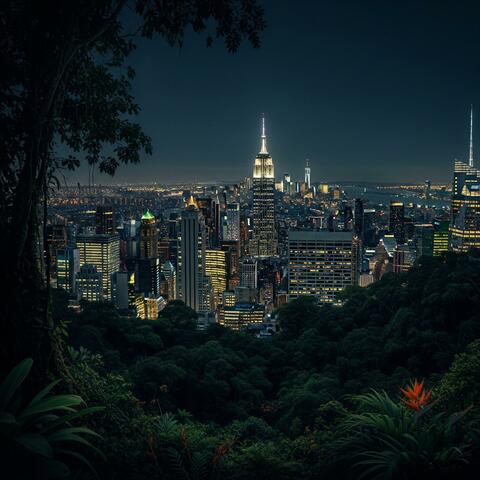 CITY