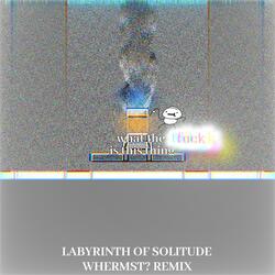 Labyrinth of Solitude (WHERMST? remix)
