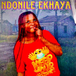 Ndonile Ekhaya
