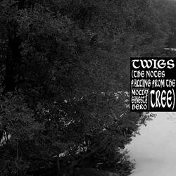 Twigs (II)