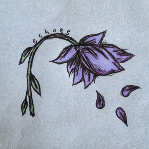 echoes (reprise)