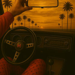 REFLECTIONS IN MY REARVIEW