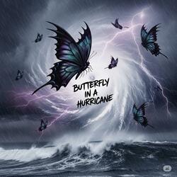 BUTTERFLY IN A HURRICANE