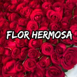 Flor hermosa