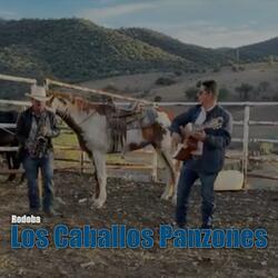 Redoba de Los Caballos Panzones