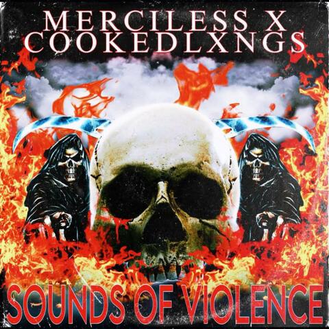 SOUNDS OF VIOLENCE (feat. NXMXSVS)