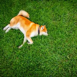 Crystal Cave Campfire.