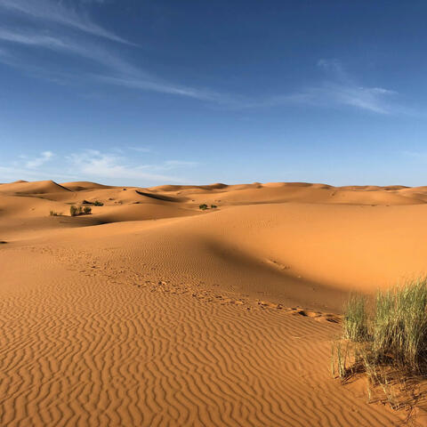 SAHARA