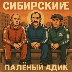 Палёный Адик