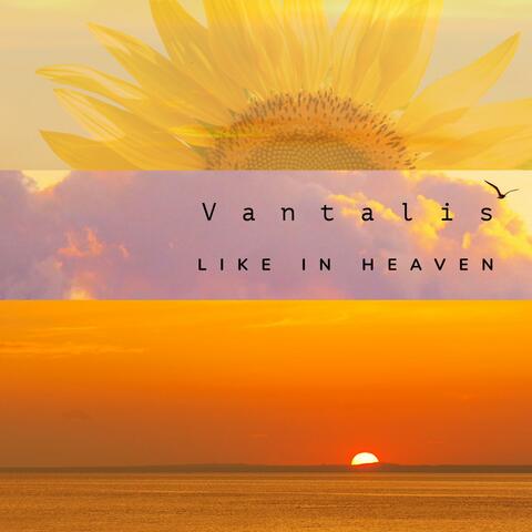 Like in Heaven