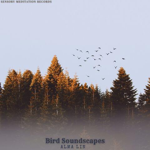 Birde Soundscapes