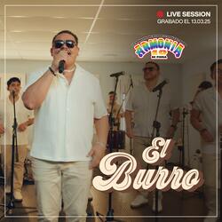 El Burro (Live Session)