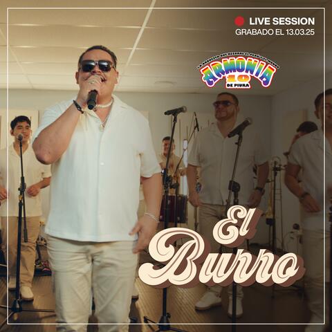 El Burro (Live Session)