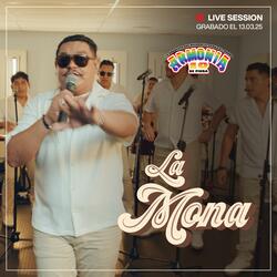 La Mona (Live Session)