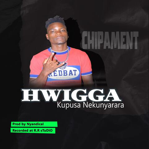 Hwigga -Kupusa Nekunyarara (feat. NyAnDi's sTuDiO)