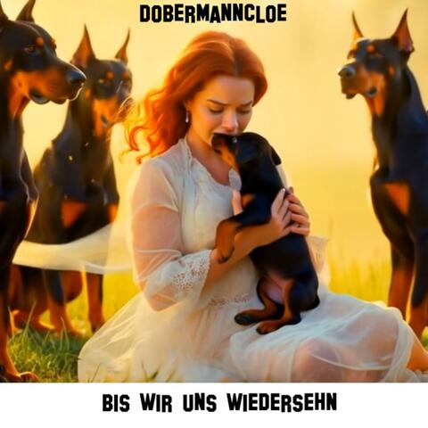 Bis Wir Uns Wiedersehn