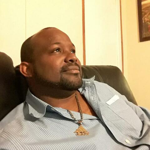 Don Pollo Notification Pling Plang