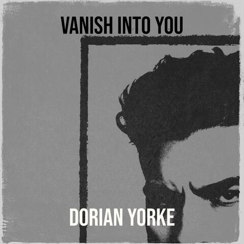 Vanish Into You