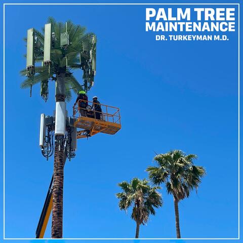 PALM TREE MAINTENANCE