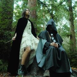 Wizards of Waverly Place (Everything is Not What it Seems)