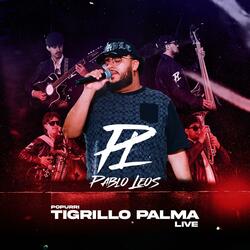 Popurri Tigrillo Palma (Live)