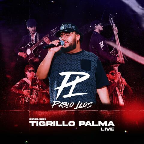 Popurri Tigrillo Palma (Live)