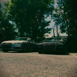 Audeazy (feat. GuapaRinoo, AL$N & Stehvhan)