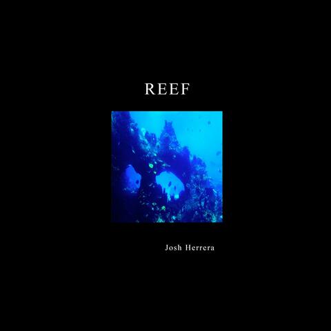 REEF