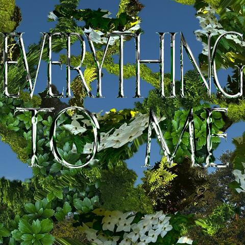 Everything To Me