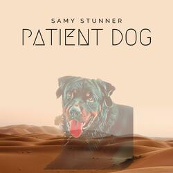 Patient Dog