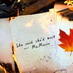 She Said She will wait