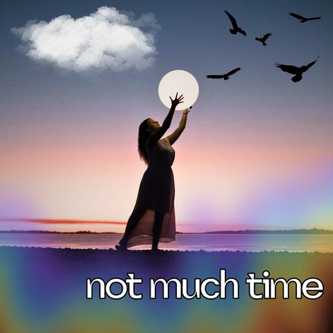 Not Much Time