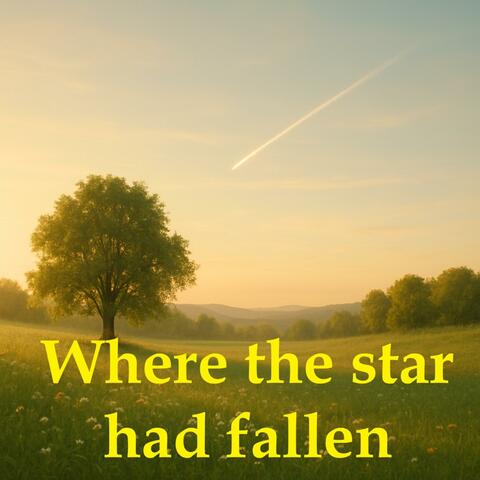 Where the star had fallen